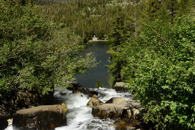 DSC_9995 (Large).JPG